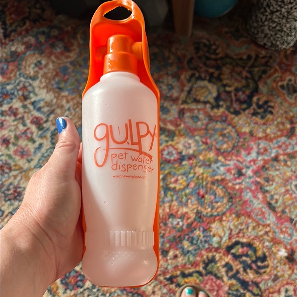 Orange and White Dog Feeding Bowl